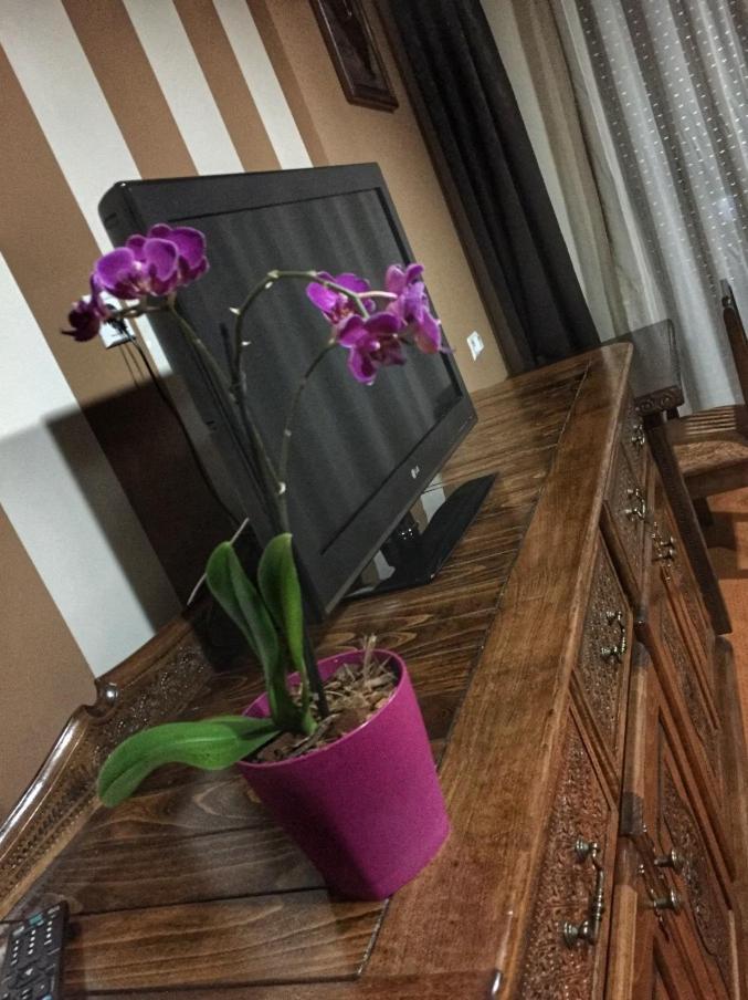 Hotel Oaza Konjic Eksteriør billede